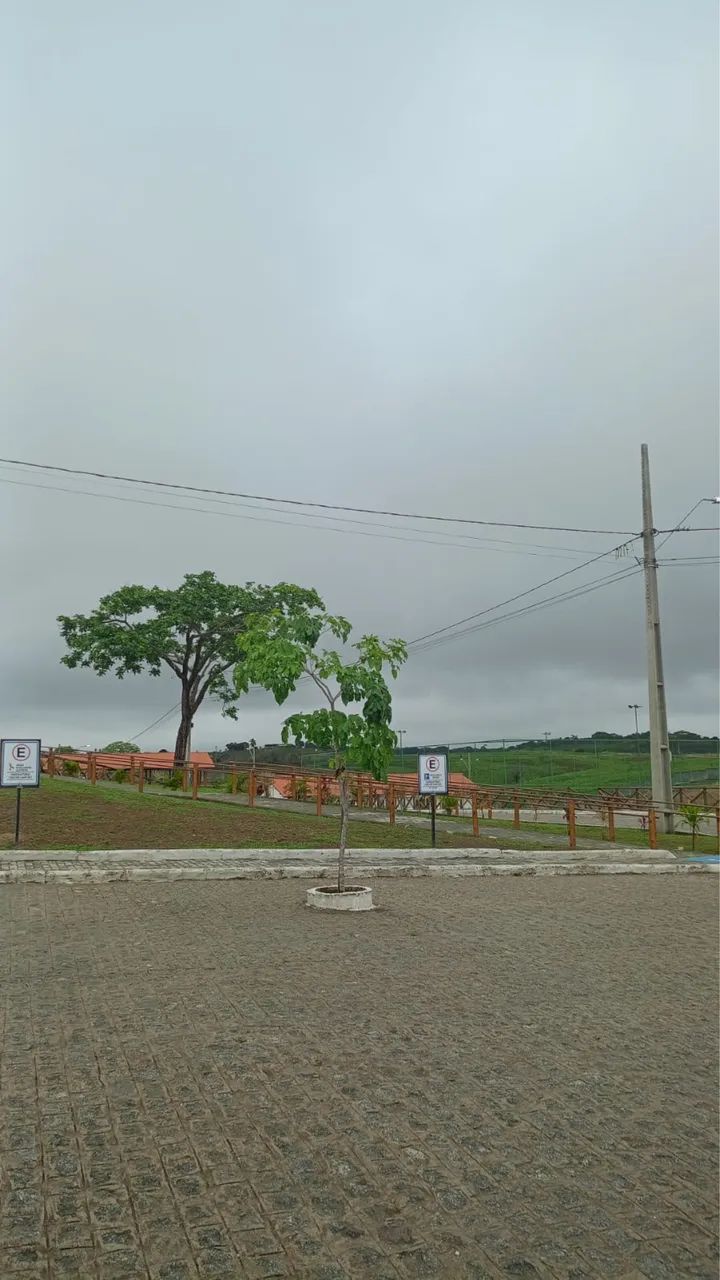 Fazenda Real 2 - Repasse  - Foto 2