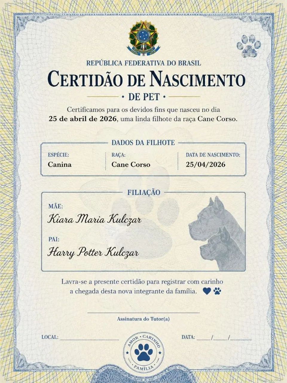 Cane corso Italiano  - Foto 6