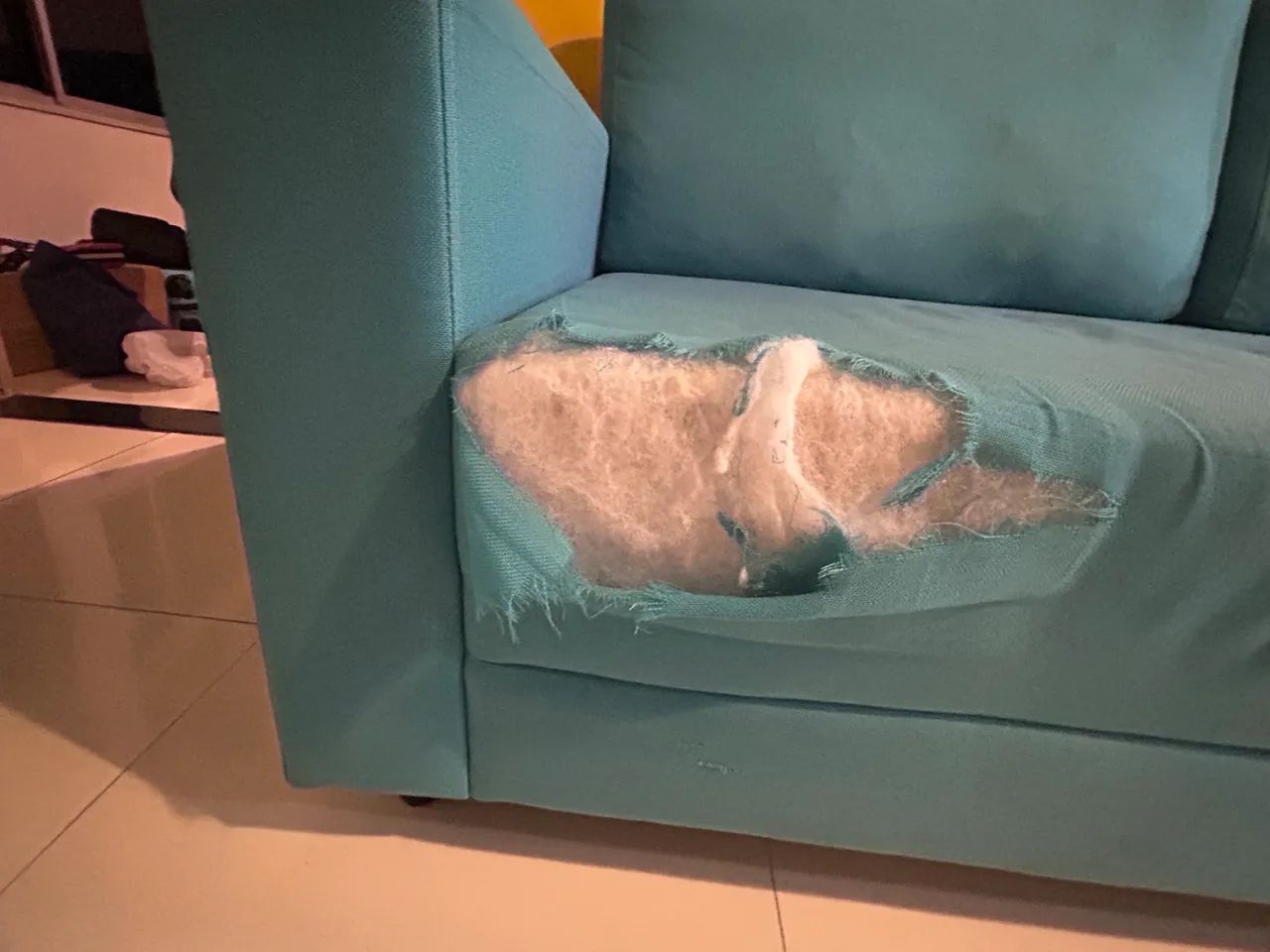 sofa65568123751297122