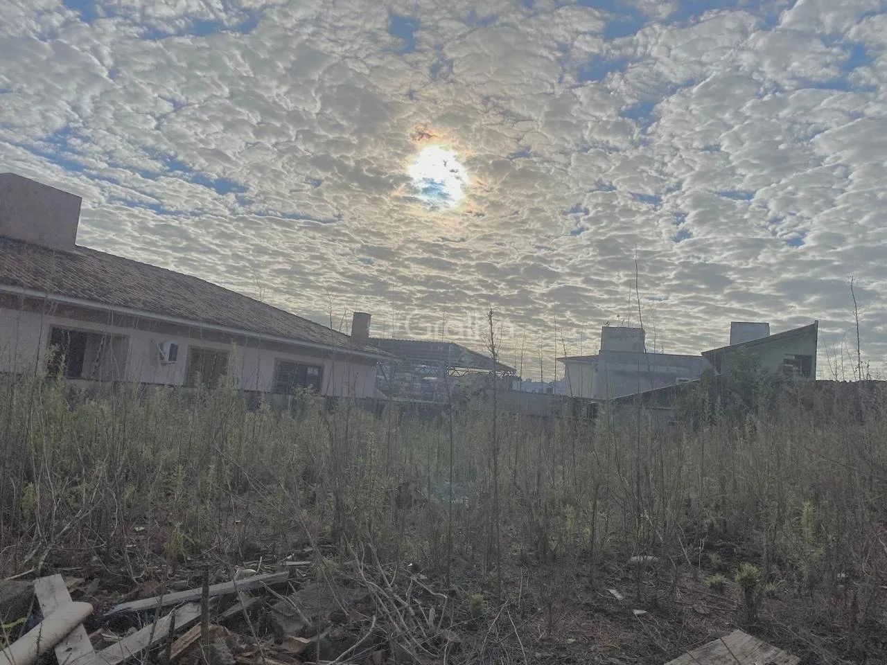 Terreno para Venda em Florianópolis, Capoeiras - Foto 5