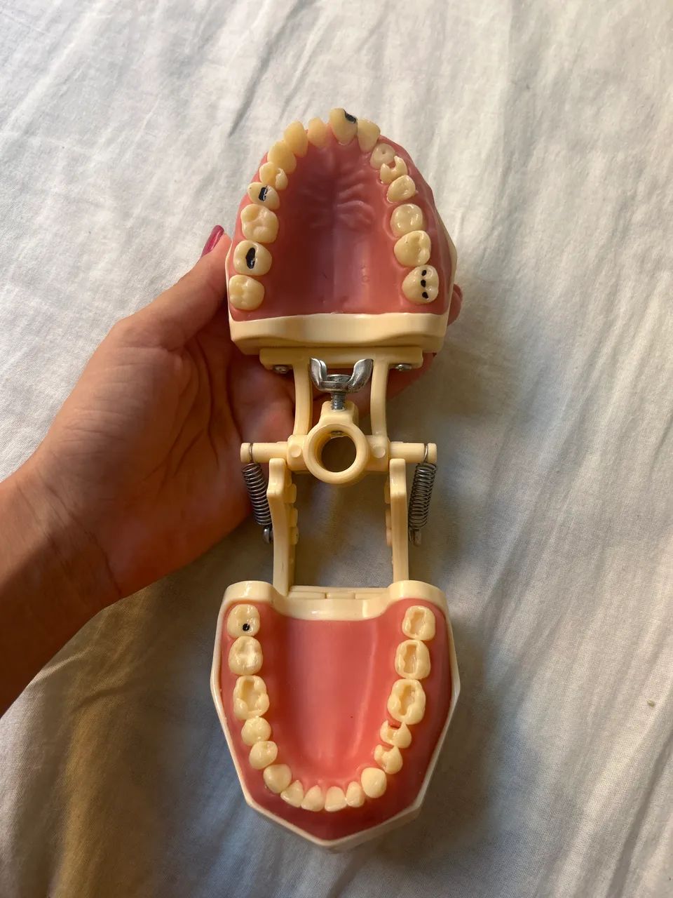 Manequim Dentário 