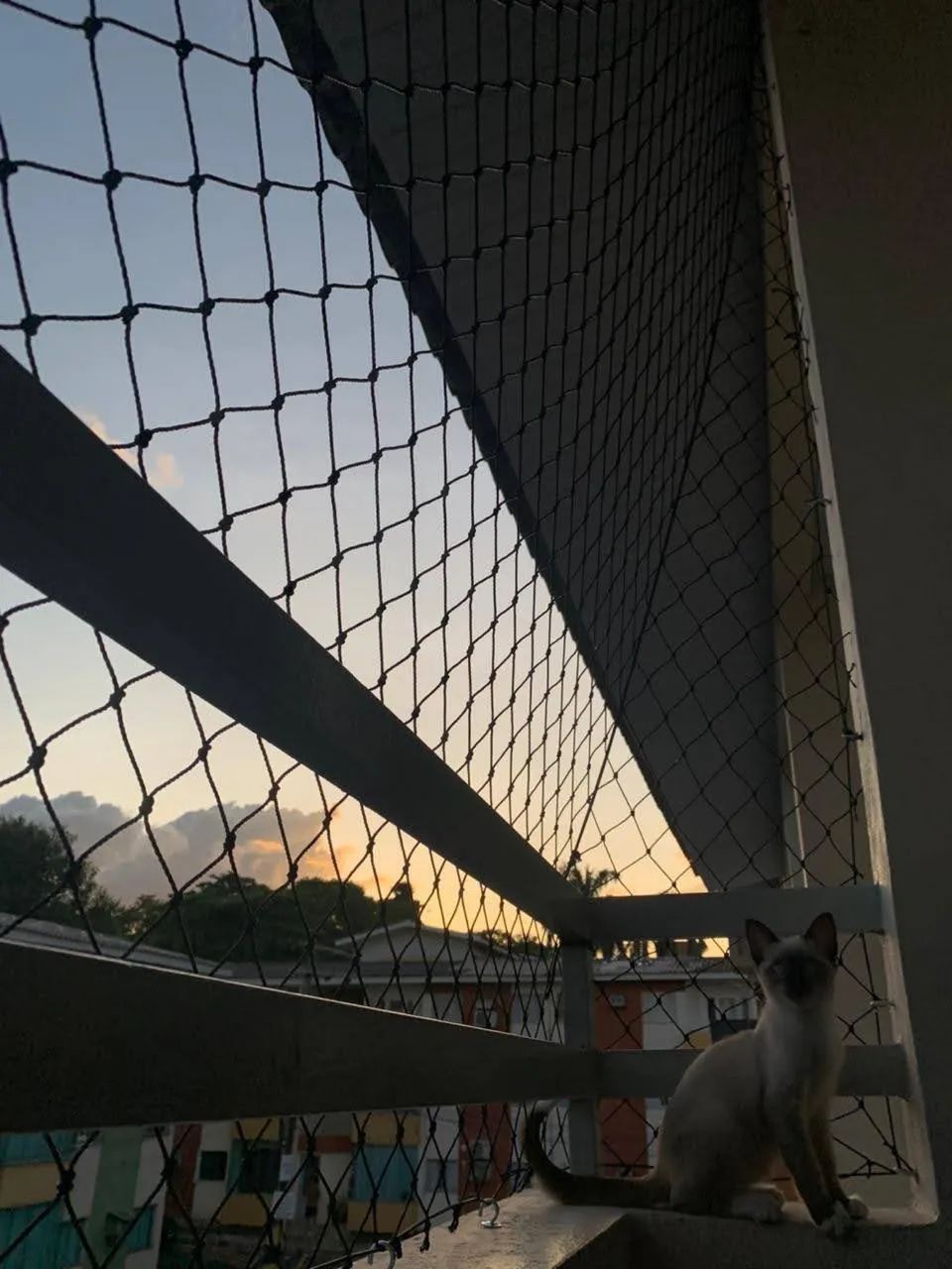 Telas de proteção  - Foto 5