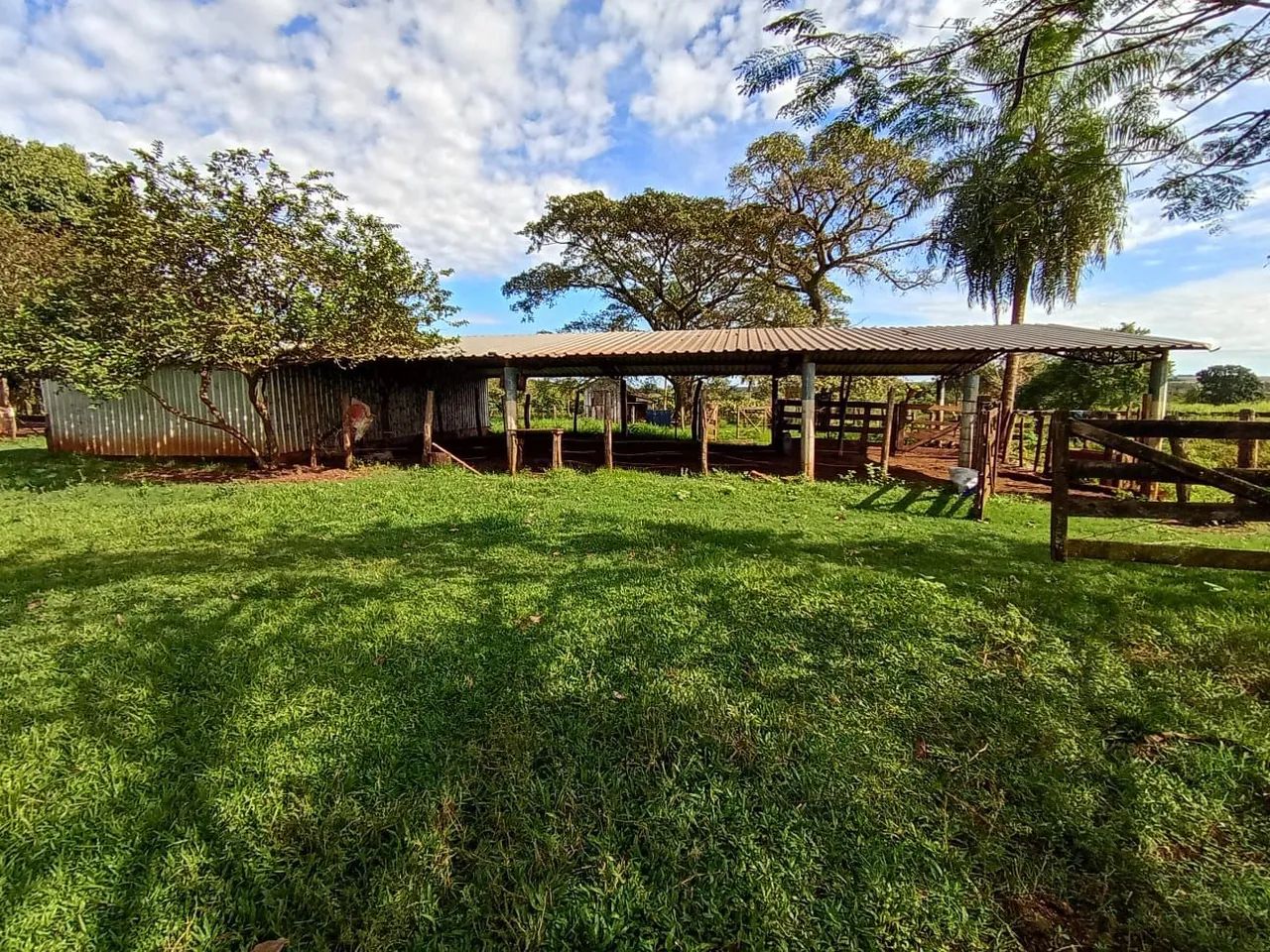 Galpão para leiteria ou granja - Foto 5