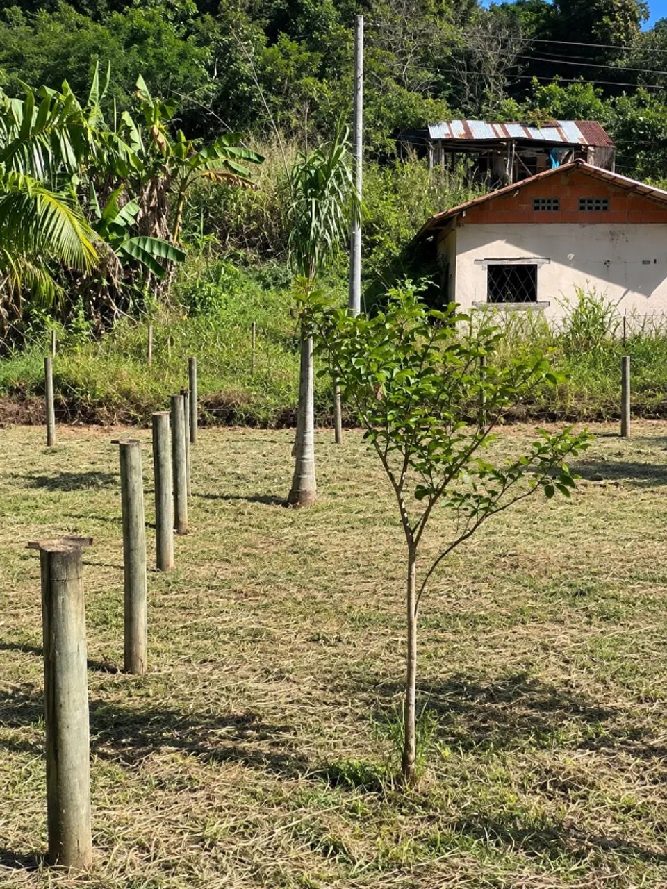 TERRENO 476m2