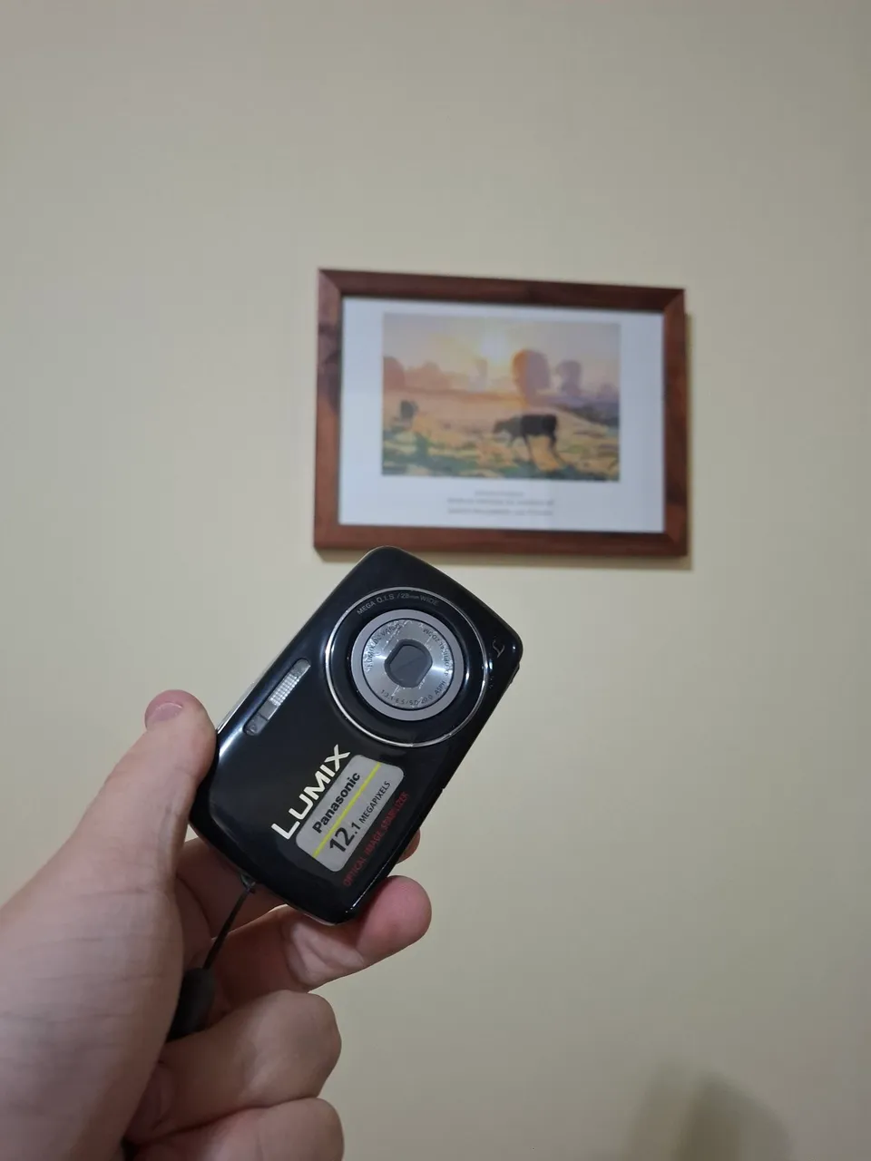 Câmera máquina fotográfica Kodak 8.2mp Easyshare C813 - Câmeras e