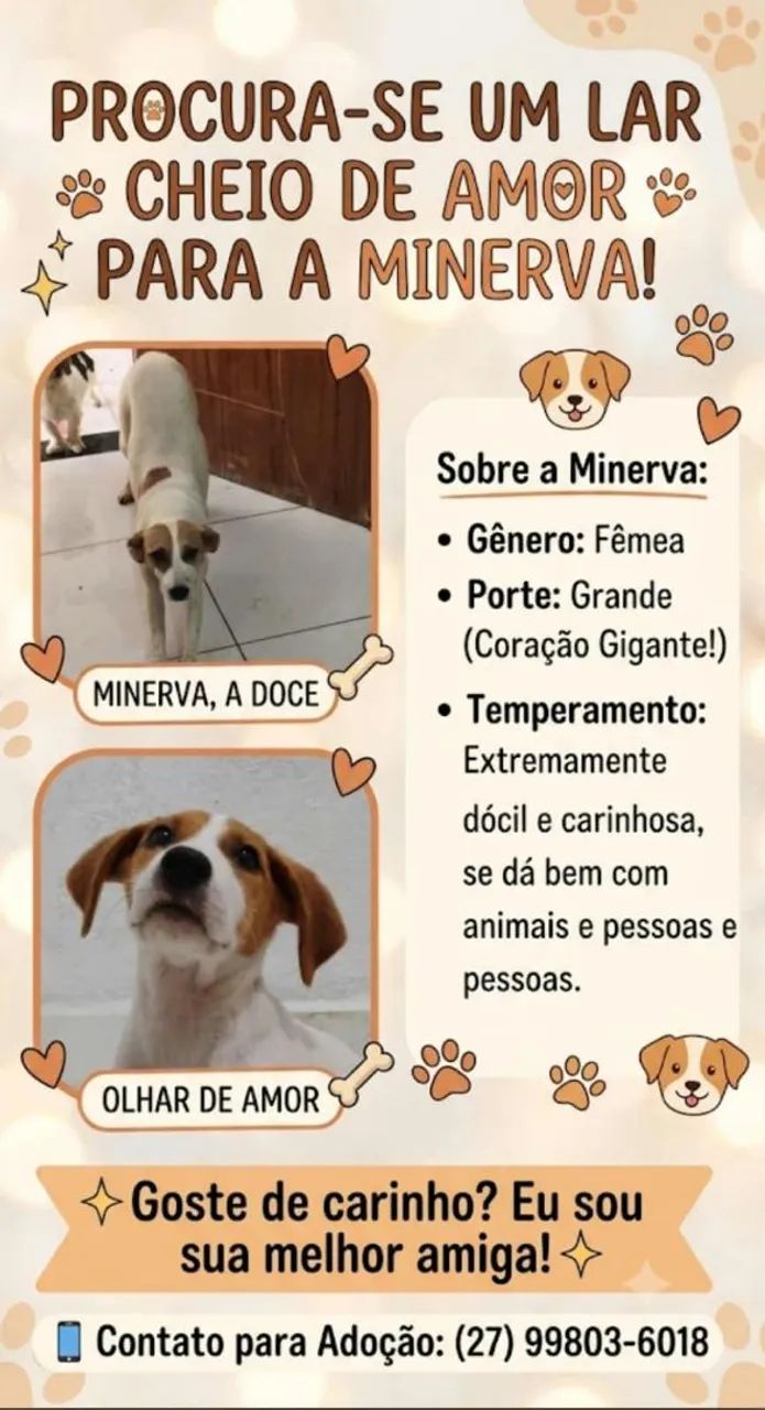 Doa- se Fêmeas  - Foto 2