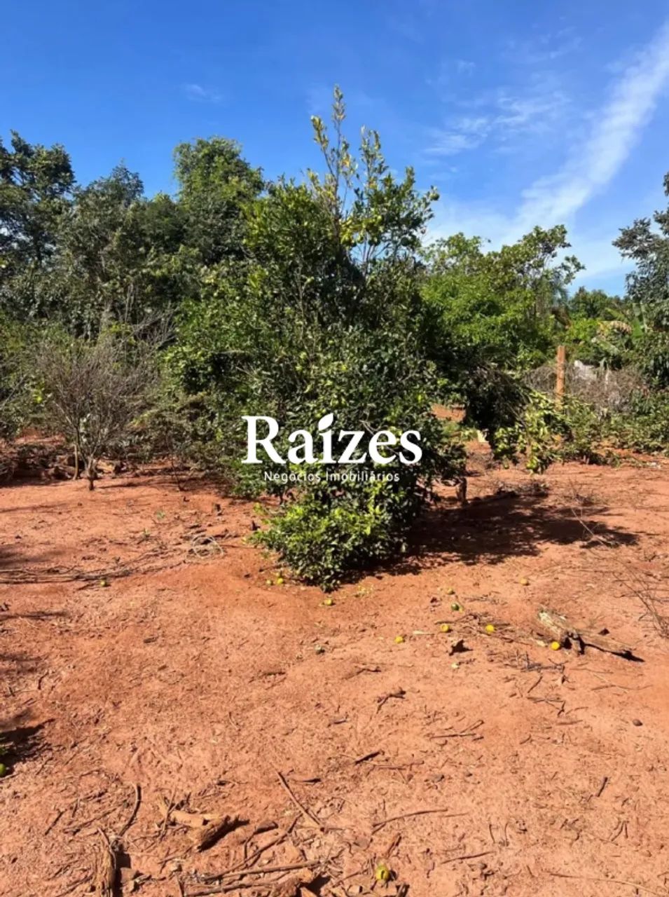 Chácara à venda próximo ao Arena Race com 5 mil m2 - Foto 4