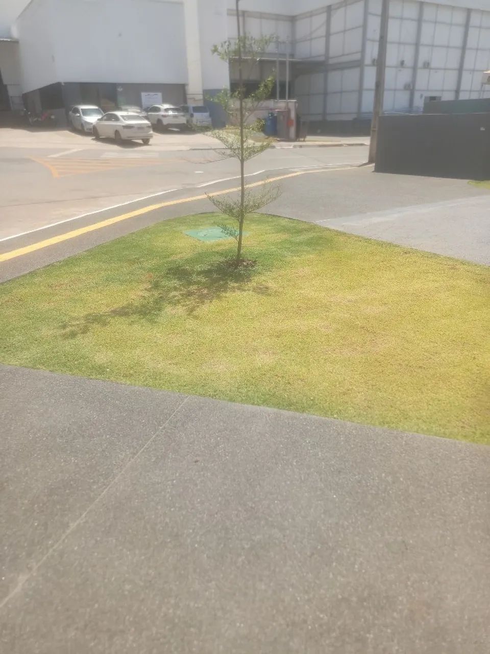 Jardinagem completa  - Foto 4