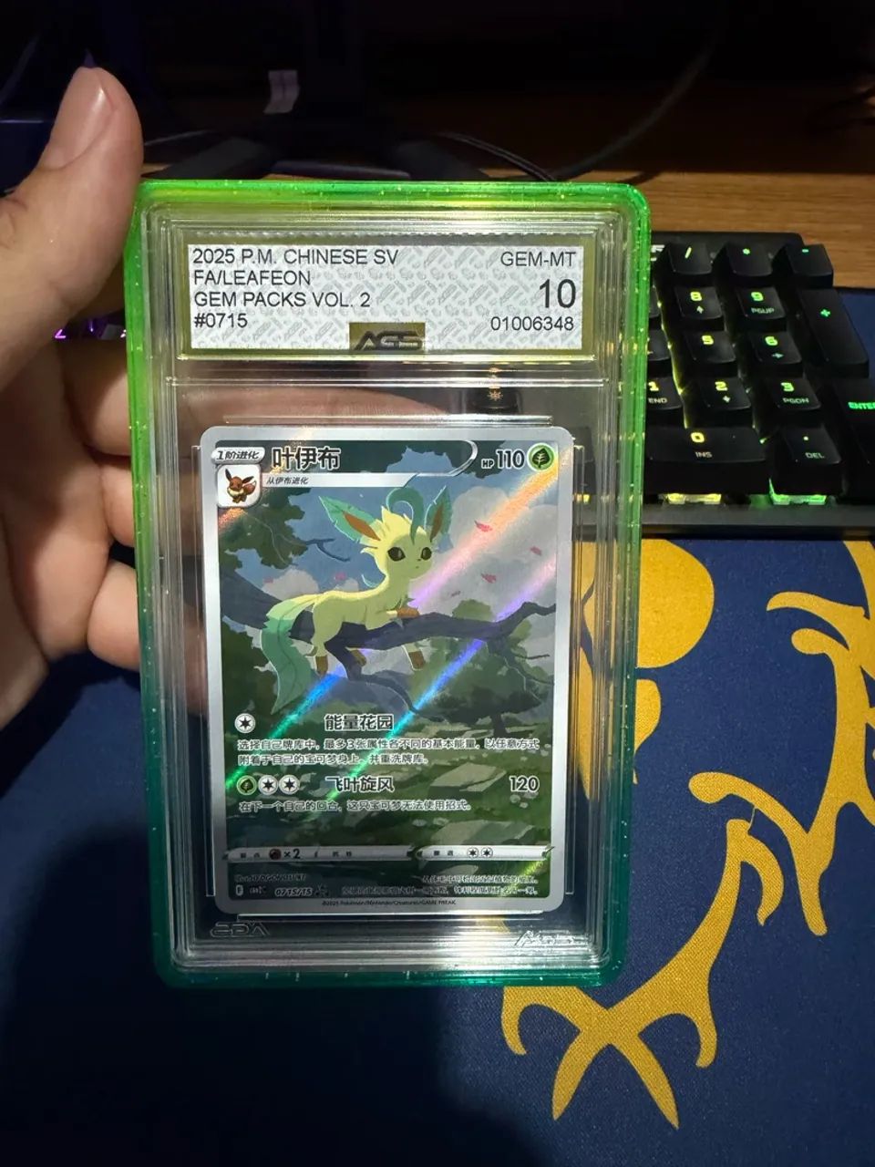 Pokemon Leafeon AGS 10