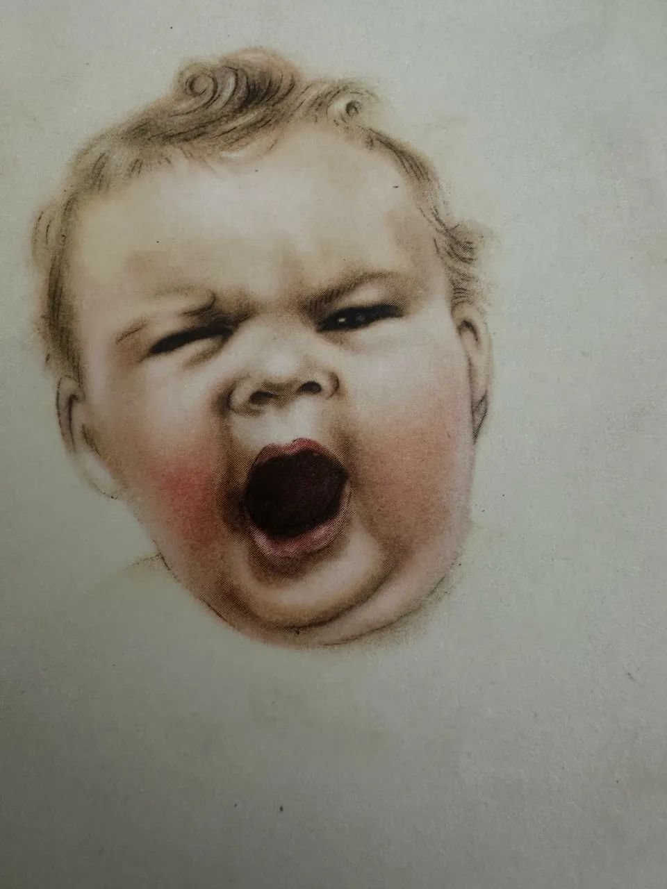 Cartão Bimbi - Foto 4