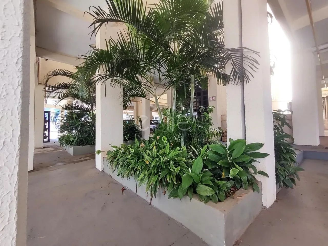 apartamento - Jardim do Trevo - Campinas - Foto 2