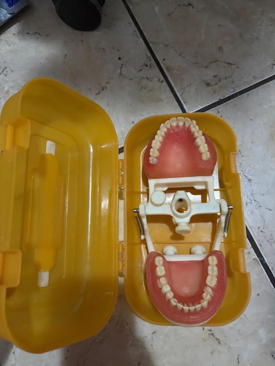 Manequim dentistica  - Foto 5