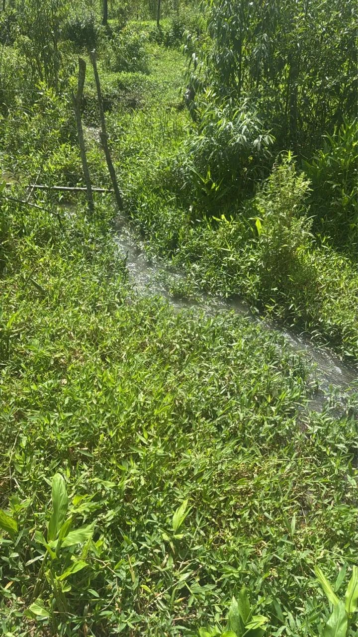 Chácaras com água no fundo em Rio Manso - Foto 5