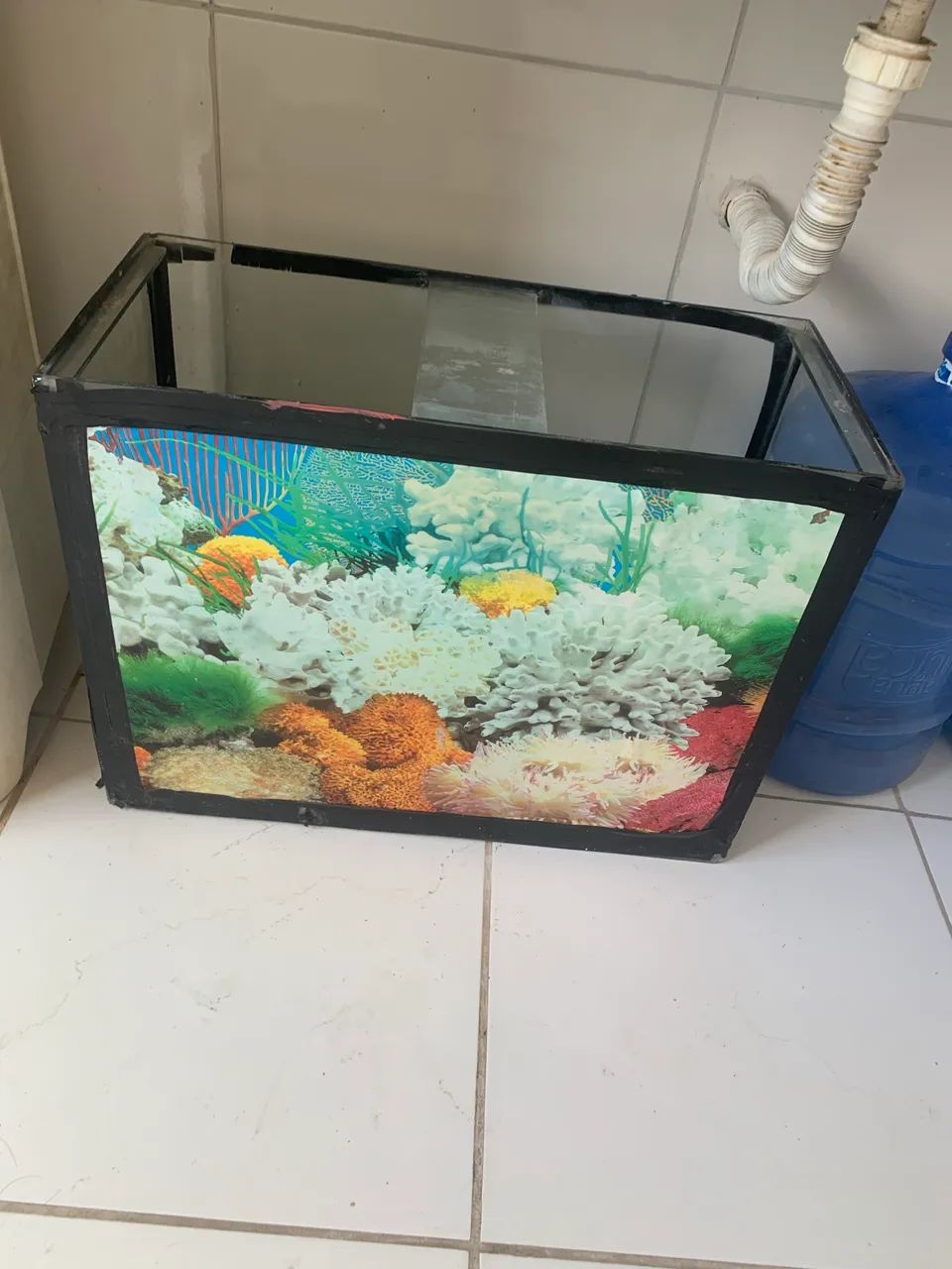 Aquário