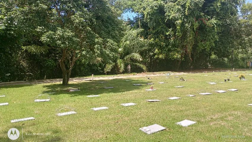Venda de Jazigo - Foto 3