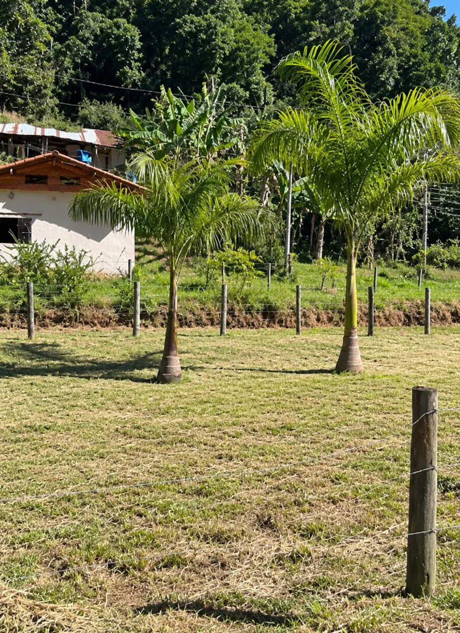 TERRENO 476m2 - Foto 2