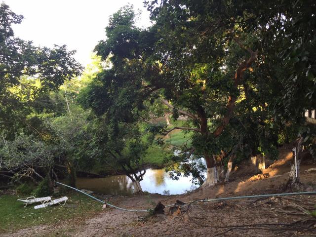Granja pium - Foto 5