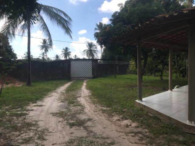 Sítio na Matinha 5000 m2 - Foto 8