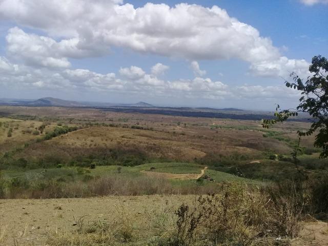 Pombos-Vend. 480 mil reais-Tem 120 Hect. Fazenda Completa,Água,Pastos, e mais - Foto 6