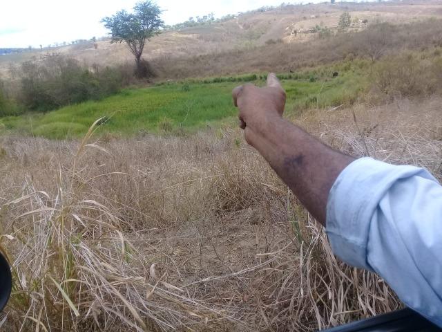 Pombos-Vend. 480 mil reais-Tem 120 Hect. Fazenda Completa,Água,Pastos, e mais - Foto 19