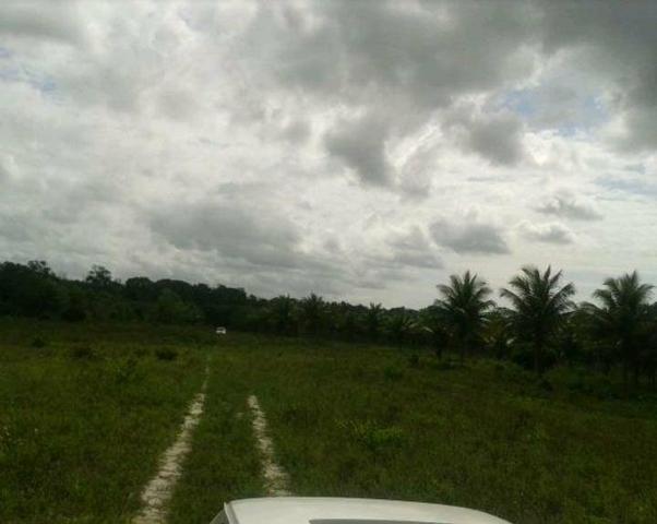 Conceição da barra - Foto 2