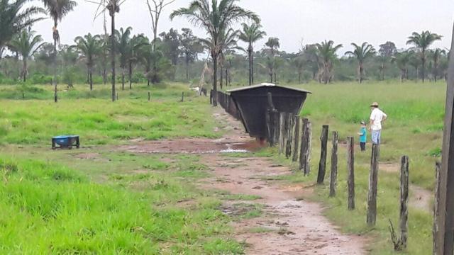 Fazenda no Pará - Foto 9