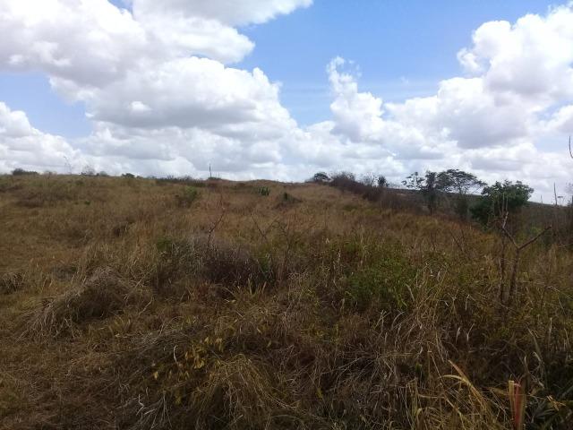 Pombos-Vend. 480 mil reais-Tem 120 Hect. Fazenda Completa,Água,Pastos, e mais - Foto 14