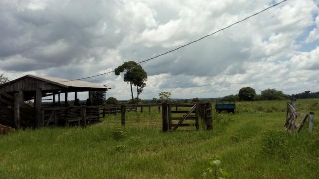 Fazenda Produtiva de Frango P/Frigor Projeto Aprovado - Nova Marilândia - 7 Km da Cidade - Foto 5