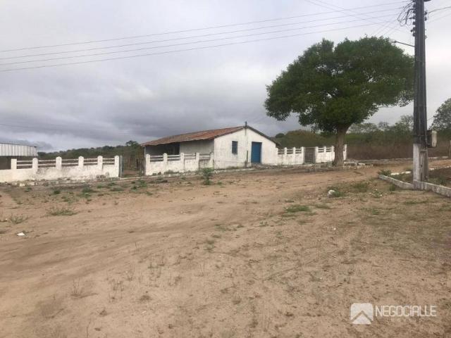 Excelente granja em são josé da mata (10 hectares)