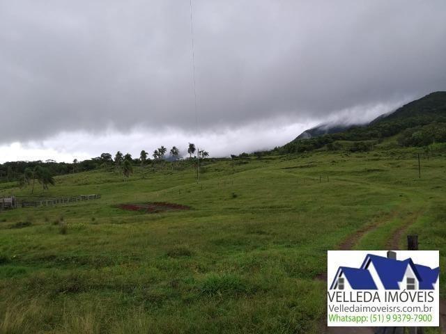 Velleda of. Fazenda 189 hectare, especial p/ gado, açudes, casa , maquiné - Foto 16