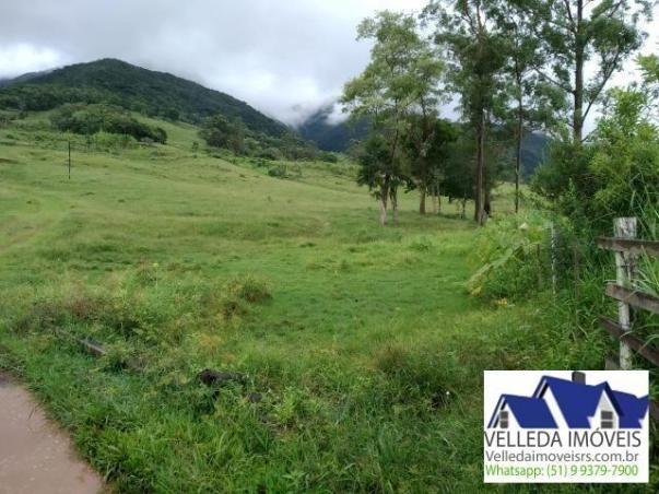 Velleda of. Fazenda 189 hectare, especial p/ gado, açudes, casa , maquiné - Foto 11