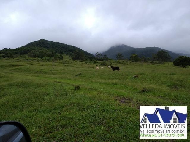 Velleda of. Fazenda 189 hectare, especial p/ gado, açudes, casa , maquiné - Foto 4