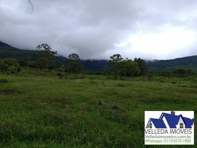 Velleda of. Fazenda 189 hectare, especial p/ gado, açudes, casa , maquiné - Foto 14