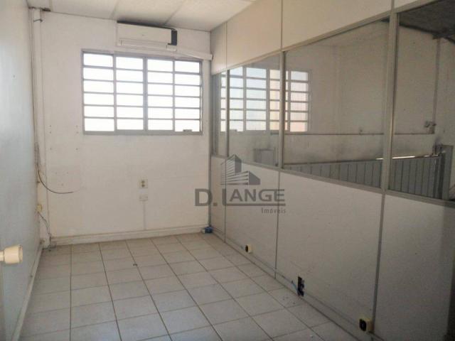 Barracão para alugar, 265 m² por r$ 4.200,00/mês - loteamento parque são martinho - campin - Foto 6