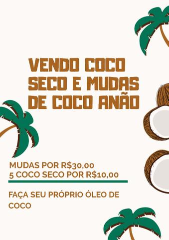 Mudas de coco anão