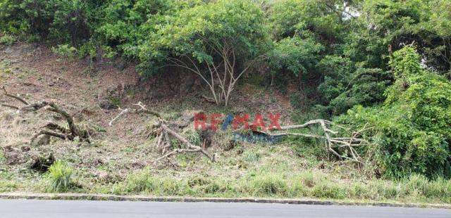 Terreno à venda, 600 m² por r$ 190.000 - malhado - ilhéus/ba - Foto 6