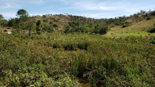 Fazenda 42 Alqueires em Campanário/MG, região de Governador Valadares/MG - Foto 8