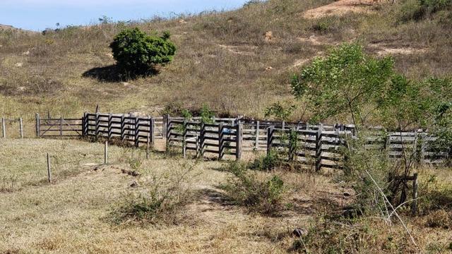 Fazenda 42 Alqueires em Campanário/MG, região de Governador Valadares/MG - Foto 14