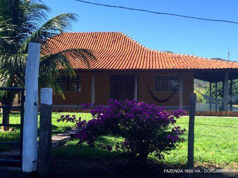 FAZENDA A VENDA EM CORUMBÁ - MS (Pecuária) - Foto 5