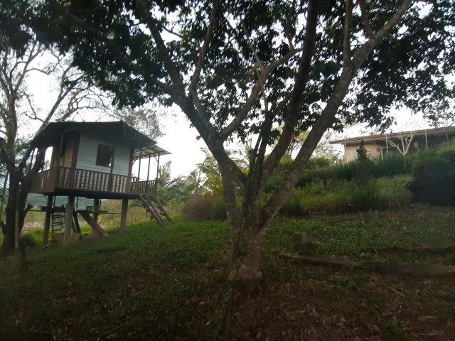 Liiinda Chácara Em Guaramirim - Foto 12