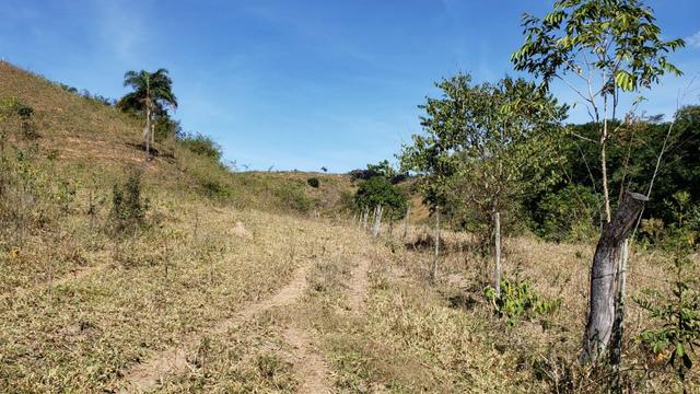 Fazenda 42 Alqueires em Campanário/MG, região de Governador Valadares/MG - Foto 9
