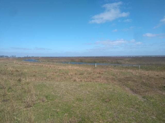 Área de terra 154 ha em Mostardas-Rs - Foto 8