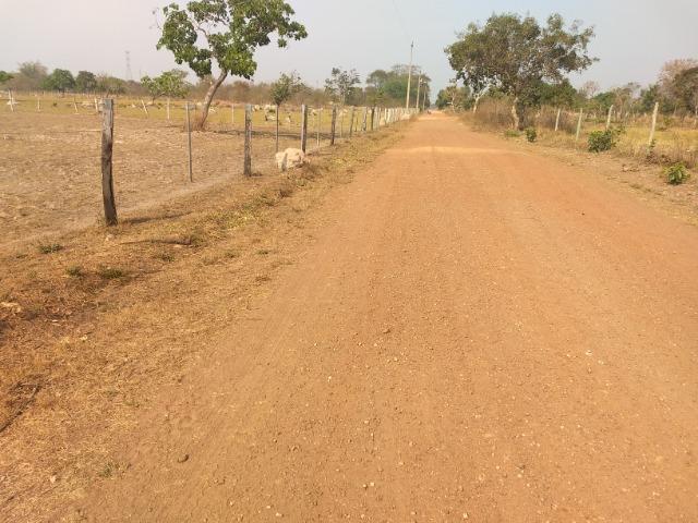 Chácara 2.5 ha, linha 16 cinturão verde - Foto 8