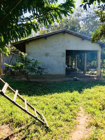 Vendo Chácara no Distrito de Santa Antonio (agende sua visita) Aceito Troca em imovel - Foto 11