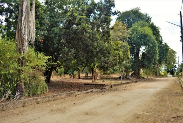 Terreno à venda em Novo, Carpina cod:TE09XW - Foto 8