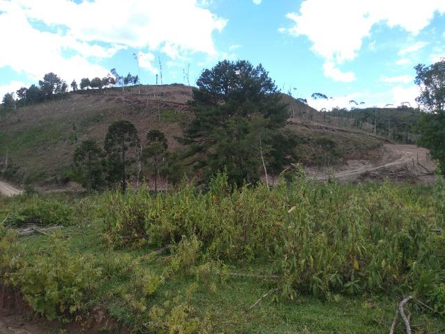 Fazenda Terreno Rural Sitio Chácara Gado - Foto 19