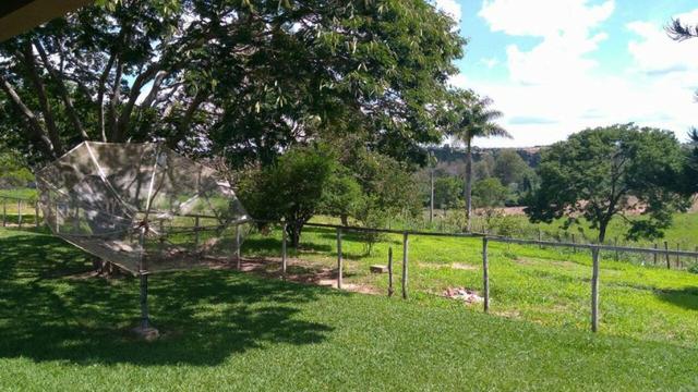Fazenda 86 hec de área com ótima topografia, piscina em Inimutaba/MG - Foto 15