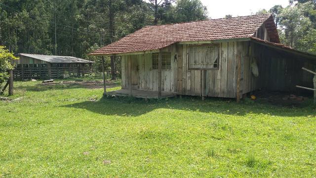 Fazenda Terreno Rural Sitio Chácara Gado - Foto 8