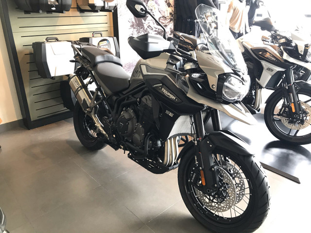 olx triumph tiger