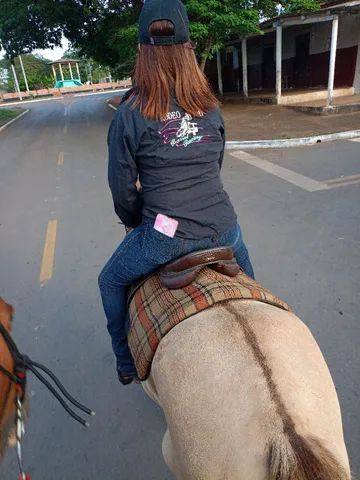 Égua baia  - Foto 4